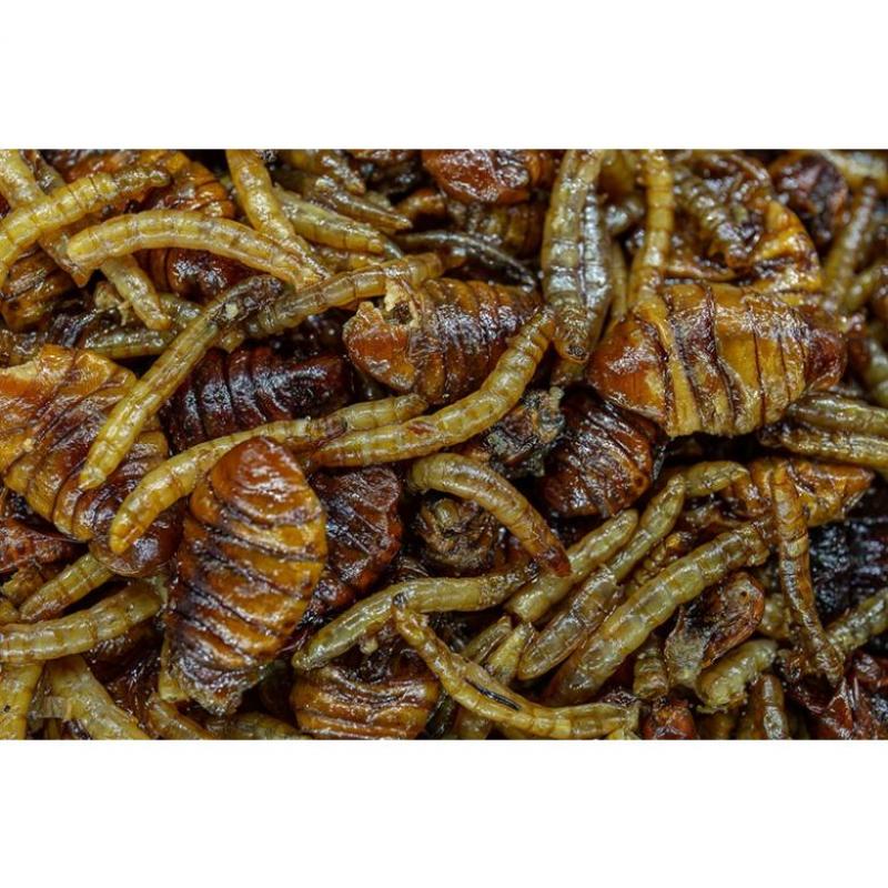 My-Baits Destruction Insects PVA friendly & Ready to Use