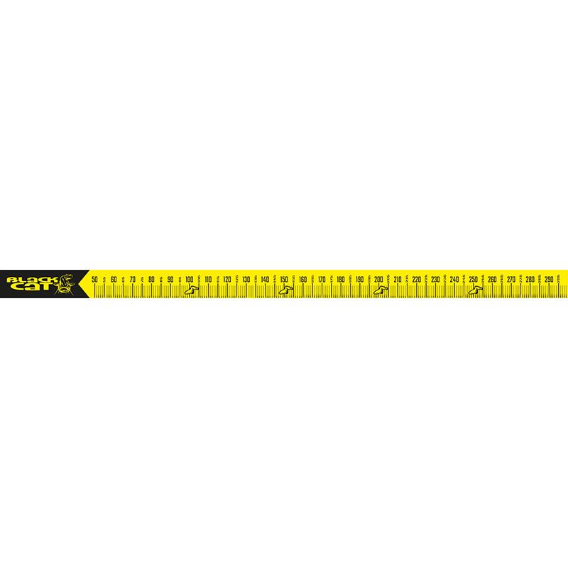 Black Cat Cat Measure