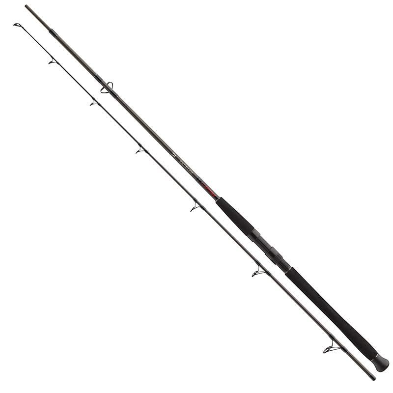 DAIWA Exceler Catfish Spin 2,70 m -185 g