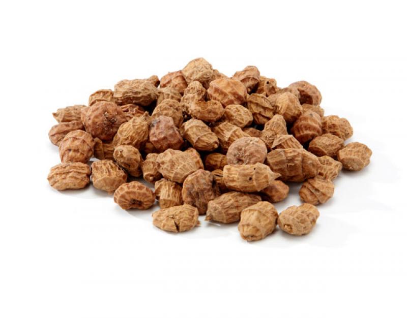 KL Angelsport Spanische Tigernuts Standard 5 kg im Beutel