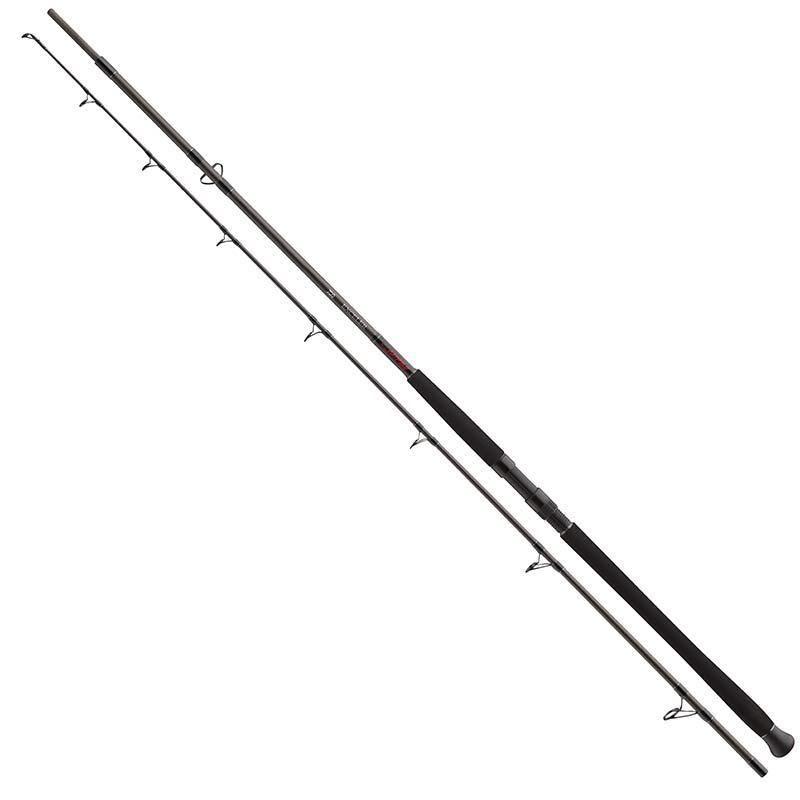 DAIWA Exceler Catfish Boje 3,00 m 200-600 g