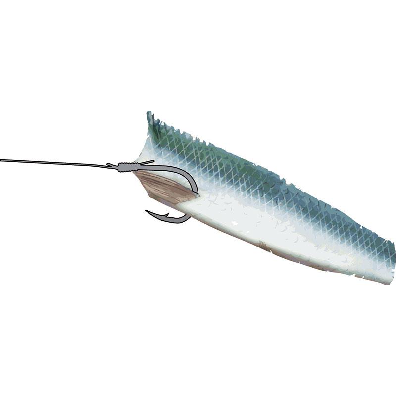 Balzer 71° North Spezi Dorsch- und Schellfisch-System 200cm 1,00mm