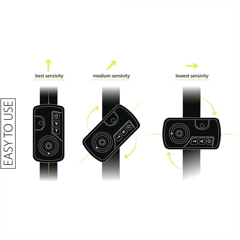 Black Cat Passion Pro Alarm