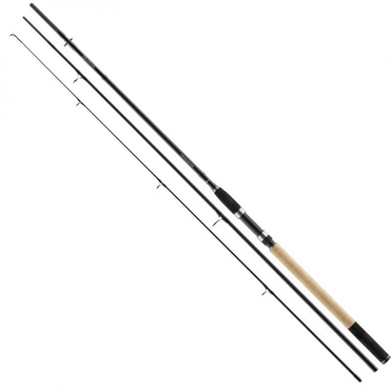 DAIWA 20 Procaster Allround 3,00 m 10-40 g