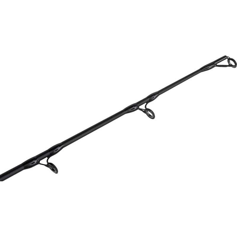 Black Cat Black Passion G2 Spin 2,40 m 50-200 g