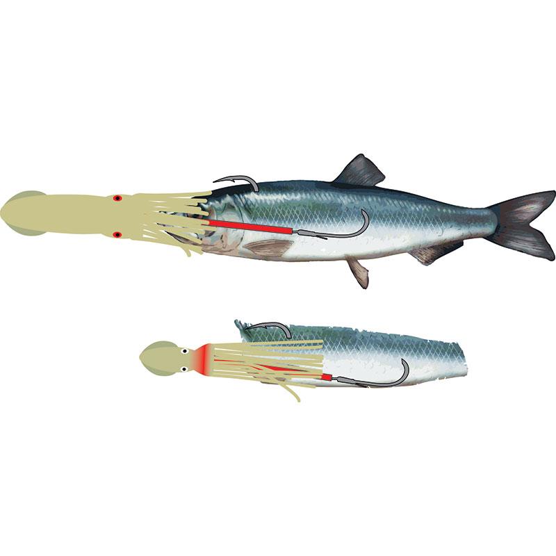 Balzer 71° North Spezi Seehecht System 165cm 0,90mm